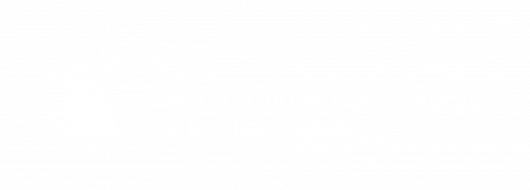 ICIB-BLANCO
